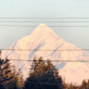 Meet your Posher, Reanna